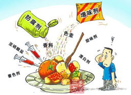 浙江新政 食品添加劑交易備案與住宿服務(wù)創(chuàng)新升級